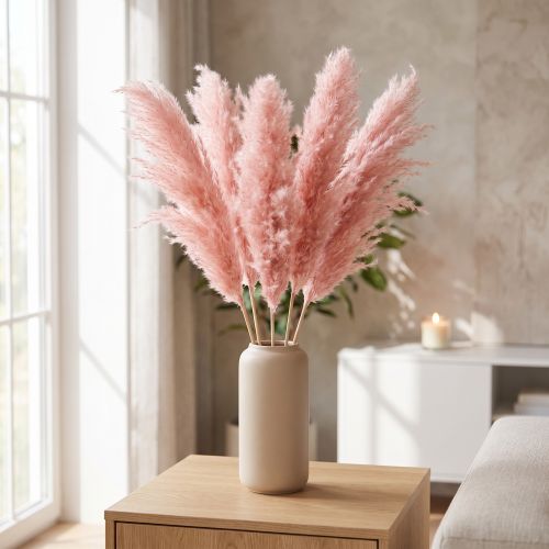 Pampasgras getrocknet Rosa 65-75 cm 6 Stiele