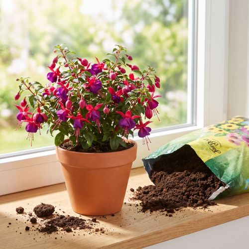 Gärtner-Blumenerde mit Ton und Langzeitdünger 5 Liter für Zimmer- und Balkonpflanzen | Floristik24.at