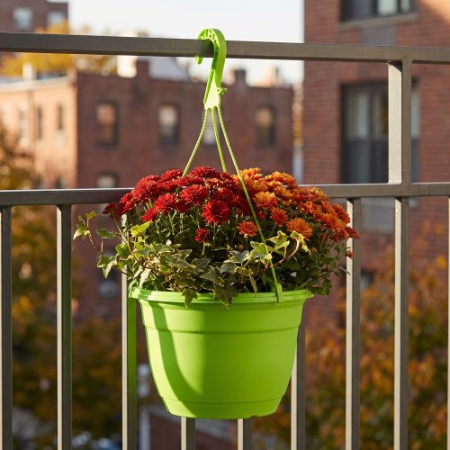 Blumenampel Kunststoff Ø25cm Grün mit Haken | Floristik24.at