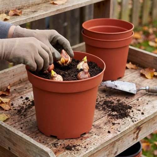 Pflanztopf aus Kunststoff Ø29cm, Set mit 10 Stück, Terrakotta | Floristik24.at