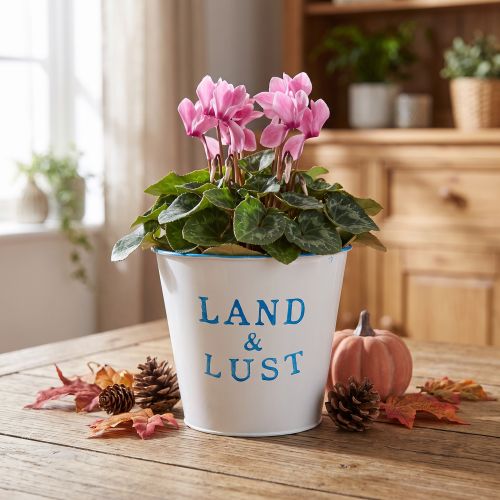 Blumentopf Metall Übertopf Weiß Blau Ø14×H13cm | Floristik24.at