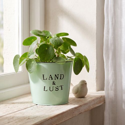 Blumentopf aus Metall Ø17cm Mintgrün Übertopf Landhausstil H15,5cm | Floristik24.at