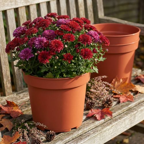 Pflanztopf aus Kunststoff Ø23cm in Terrakotta, 10 Stück | Floristik24.at