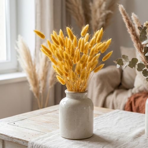 Lagurus Gelb Samtgras getrocknet 40–55cm 25g | Floristik24.at