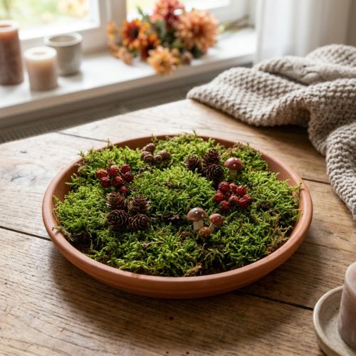 Untersetzer aus imprägnierter Keramik, Terrakotta, Ø14,5cm | Floristik24.at