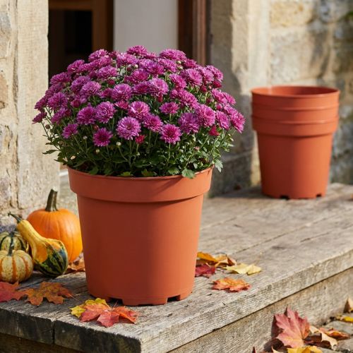 Pflanztopf Kunststoff Ø26cm Terrakotta 10 Stück | Floristik24.at