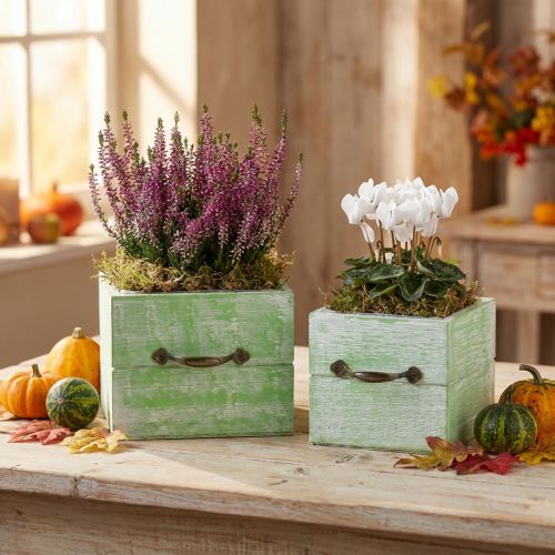 Pflanzgefäß Holzschublade Hellgrün im 2er-Set, 12x12cm und 15x15cm | Floristik24.at