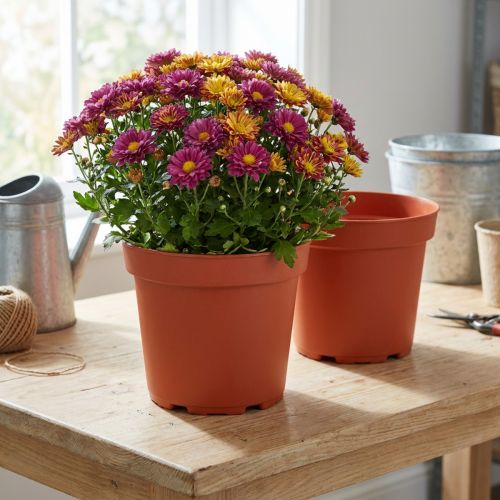 Pflanztopf Kunststoff Ø21cm Terrakotta 10 Stück | Floristik24.at