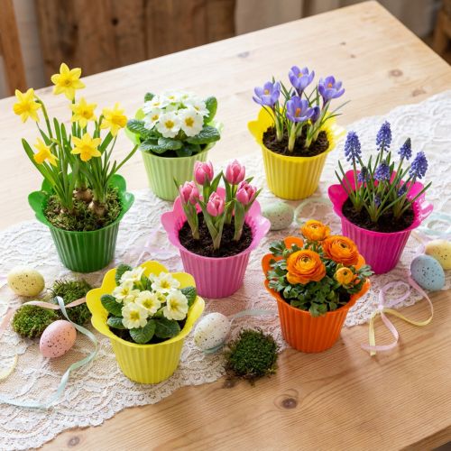 Blumenförmiger Kunststofftopf Ø12cm, 25 Stück, Sortierte Farben | Floristik24.at