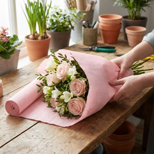 Floristen-Krepppapier Rosa 50x250cm | Floristik24.at