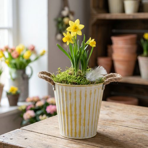 Pflanzgefäß aus Metall Ø18cm H17,5cm Gelb mit Henkeln im Shabby Chic | Floristik24.at