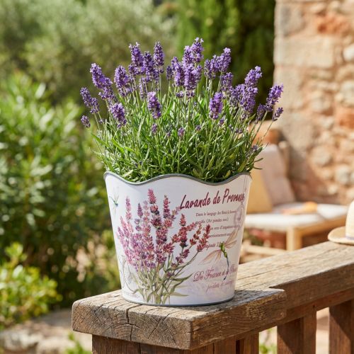 Blumentopf Übertopf Kunststoff Lavendel-Motiv Ø16,5cm H13,5cm | Floristik24.at