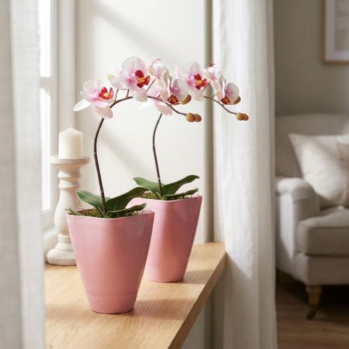 Blumentopf aus Plastik Pink konisch 16,5 cm 2 Stück