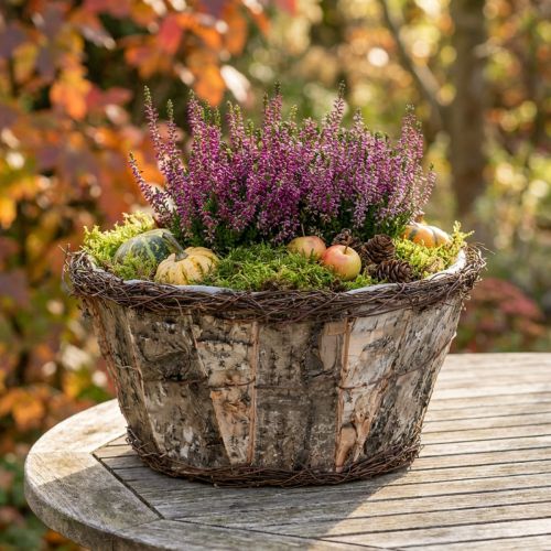 Runder Pflanztopf mit Birkenrinde und Rebengeflecht 24 cm Naturfarben | Floristik24.at