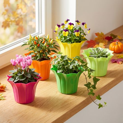 Übertopf Kunststoff bunt Ø9cm 10er-Set | Floristik24.at