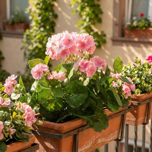 Geranienbusch künstlich Rosa-Weiß mit Metallstiel H38cm 7 Blüten | Floristik24.at