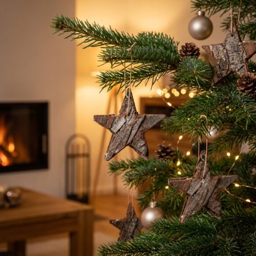 Deko-Sterne aus Pinienrinde 6 cm, 12 Stück, Natur, Weihnachtsdekoration | Floristik24.at