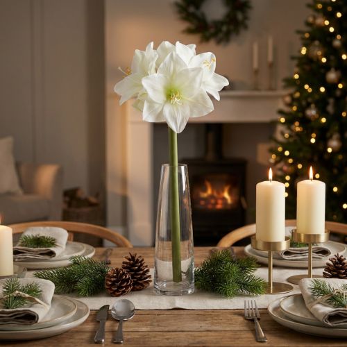 Künstliche Amaryllis Weiß mit Stiel 50cm für Advent und Weihnachten | Floristik24.at