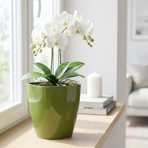 Orchideentopf aus Kunststoff glänzend Olivgrün Ø12,5cm | Floristik24.at