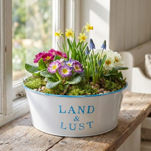 Metall Blumenschale Weiß-Blau Rund 25×10 cm Pflanztopf | Floristik24.at