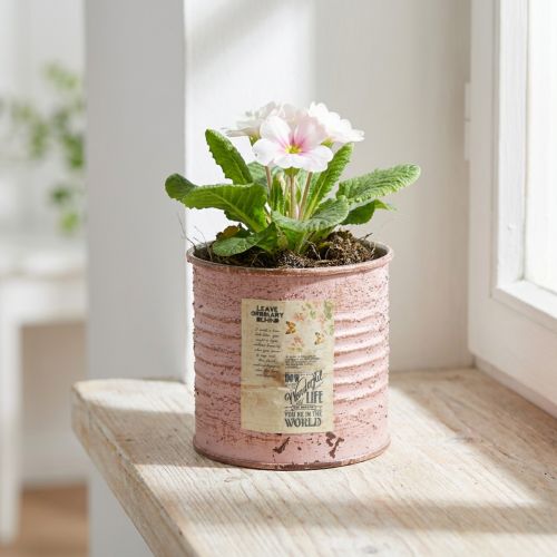 Blumentopf rund Metall Altrosa Ø8cm H7,5cm für Innenbereich | Floristik24.at