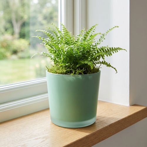 Glas-Blumentopf Mintgrün Ø11,5 cm H11 cm für Zimmer- und Balkondekoration | Floristik24.at