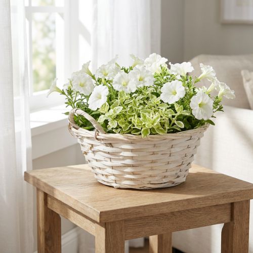 Korb aus Spanholz mit Griffen Weiß Ø35cm Pflanzkorb | Floristik24.at
