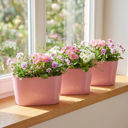 Artikel Pflanzschale oval Kunststoff Pink 20×10×11cm 3 Stück