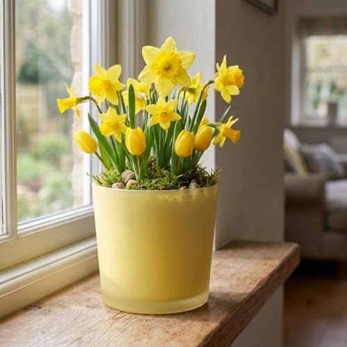 Gelber Glas-Blumentopf Ø11,5cm H11cm aus Glas | Floristik24.at
