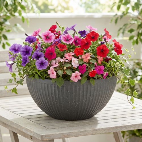 Pflanzschale Kunststoff Anthrazit Ø35 cm H16,5 cm | Floristik24.at
