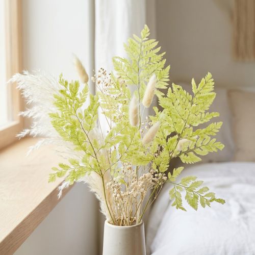 Konservierter Farn 40cm Grün 10 Stück für Dekoration | Floristik24.at