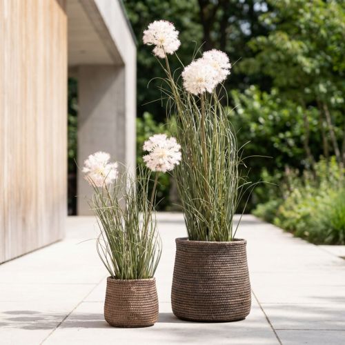 Künstliche Kugelblume Allium Zierlauch im Topf 54cm Weiß | Floristik24.at