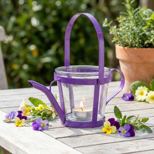 Windlicht Glas Gießkanne Lila Ø14cm H13cm für Tischdekoration | Floristik24.at