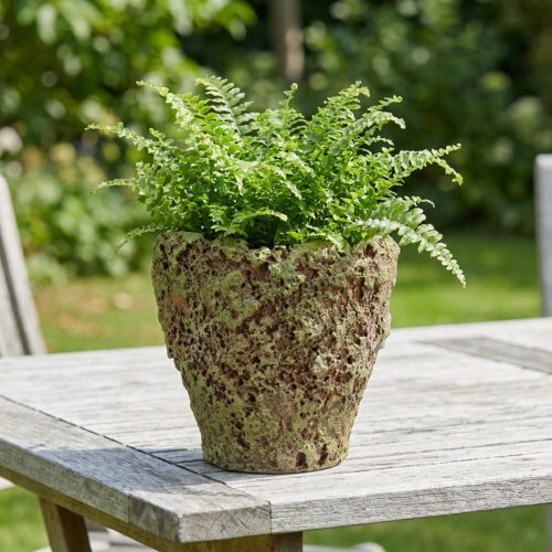 Pflanztopf rustikal Ø17cm H16,5cm Übertopf in Moos-Optik | Floristik24.at