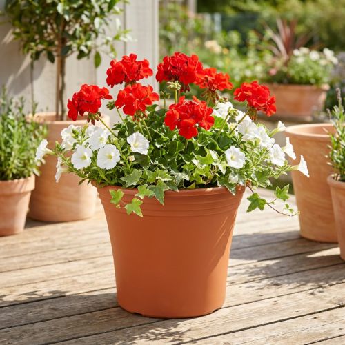 Blumentopf Irys Plastik Terrakotta Ø22cm H18cm für Zimmer- und Kräuterpflanzen | Floristik24.at