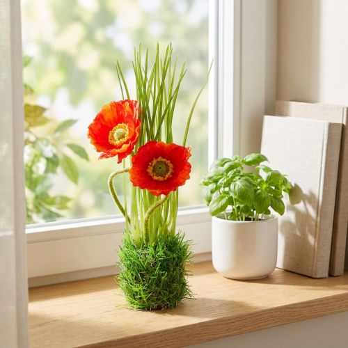 Mohnblume künstlich 23cm Rot-Grün mit Grasballen aus Kunststoff | Floristik24.at
