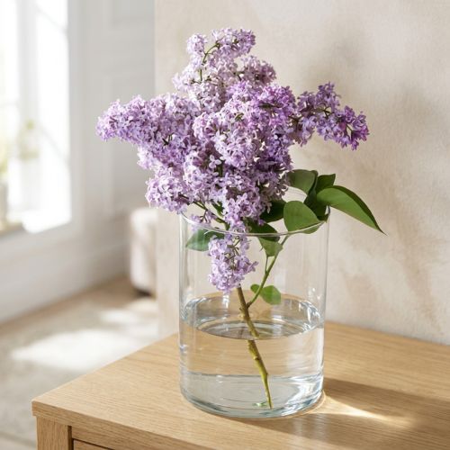 Zylindrische Glasvase Ø12cm H20cm Transparent für Wohn- und Tischdekoration | Floristik24.at