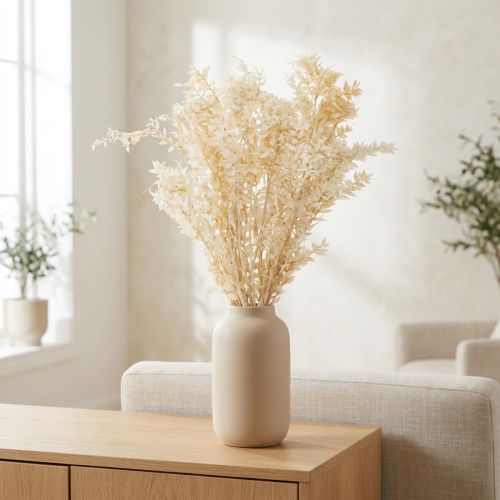 Artikel Ruscus Zweig getrocknet 80cm gebleicht cremeweiß – 200g