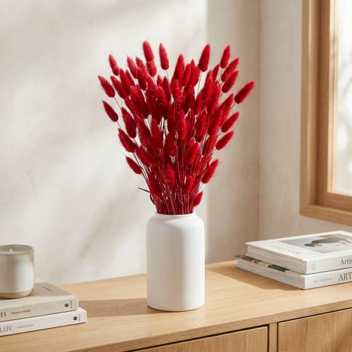Getrocknetes Hasenschwanzgras Lagurus Rot 60cm Trockenblumen | Floristik24.at