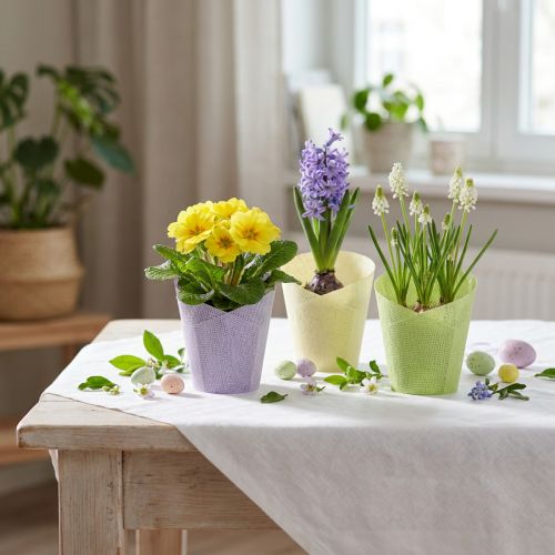 Pflanztopf gewebt aus Papier Ø7 cm H13 cm in Grün, Gelb und Lila, 12 Stück | Floristik24.at