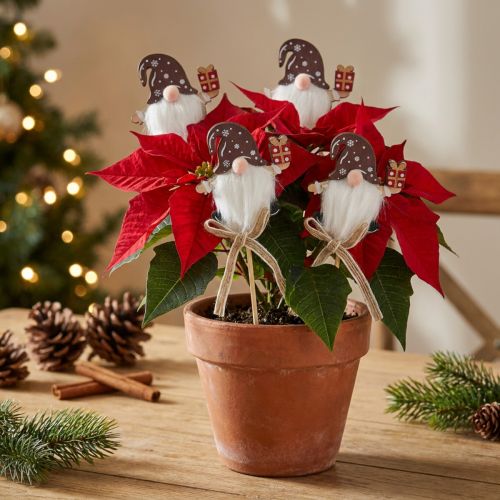 Blumenstecker Weihnachtswichtel Holz 6x7cm 12er Set Dekoration | Floristik24.at