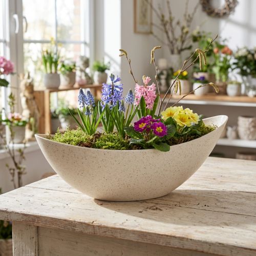 Pflanzschale Kunststoff Beige 28×9×9 cm | Floristik24.at