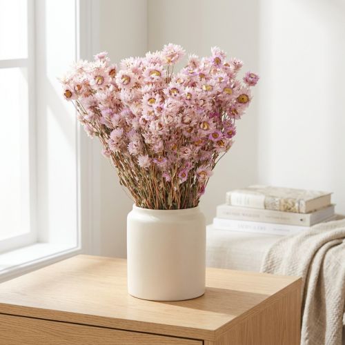 Trockenblumen Bund Kamille Rosa 65cm 50g Dekoration