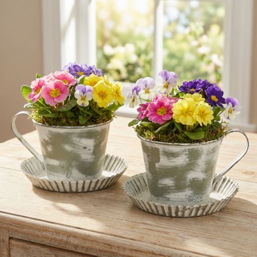 Deko Tasse Metall Weiß gewaschen Antik Ø9cm H8cm 2St | Floristik24.at