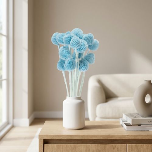 Craspedia Trockenblumen blau 55cm 20 Stück für Vasen Deko | Floristik24.at