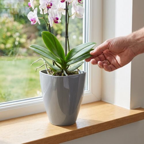 Grauer Orchideentopf aus Kunststoff Ø12,5cm, Höhe 17cm | Floristik24.at