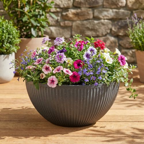 Pflanzschale Kunststoff Anthrazit Ø40cm H18,5cm | Floristik24.at