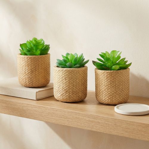 Artikel Künstliche Sukkulenten im Topf, Kunststoff Dekoration, ca. 10 cm, 3er-Set, grün/beige
