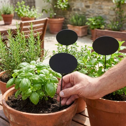Pflanzetiketten aus Holz, 19cm, oval, schwarz, 12 Stück, für Garten und Kräuterbeet | Floristik24.at