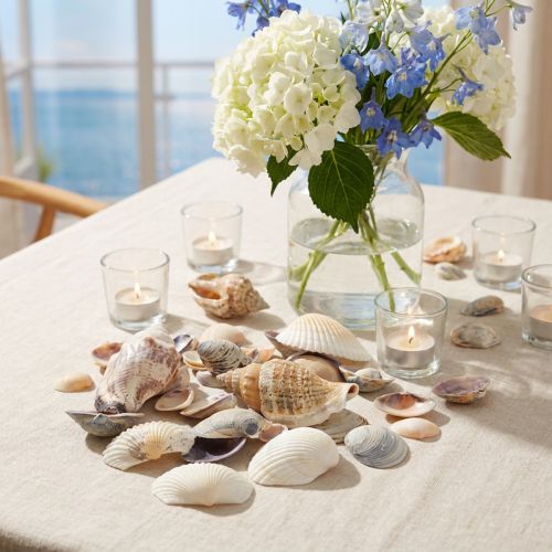 Muschelmix Natur 400g Dekoration 1–5 cm | Floristik24.at